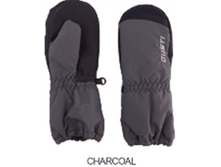 G*W*U 19*24 - CHAR*COAL