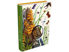 ��������� � �����: �����-�����