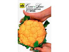 ������� ������� ���� F1 ����� 100,90 ���.. [���.��000009728]