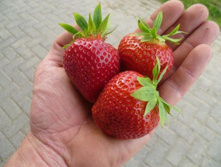 ��������� ���������� ������������ ���, 50���. (�������� 7��).