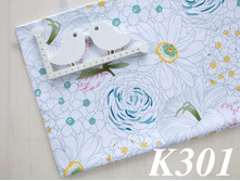 K301.jpg