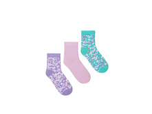 ����� ������ �������.jpg