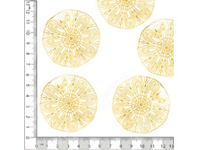 �������� ������� ������ ������� ��������� 5 �� � �������� (�������) 139 98.jpg