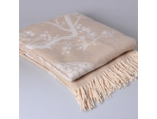 ���� ����� �������.jpg