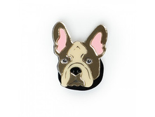 ����� ������� ����������