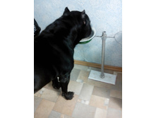 IMG 20160225 182410.jpg