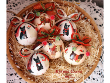 ������� 6 ��