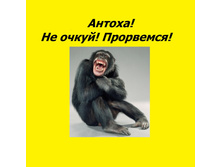 ����������.jpg
