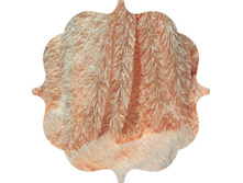 ��������� 50�70 ������ -120��� -2��