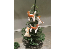 IMG 1893 - �����.JPG