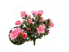 ������ 30 �� 1 �� (����-�������) 423 297�.jpg