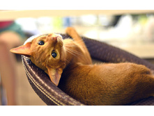 54b9124a30e54 dsc4523.jpg