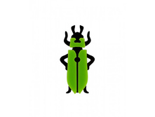 ����� ��� �����-�������