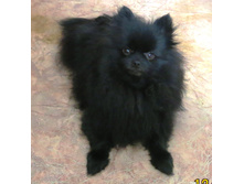 ������� 003.JPG