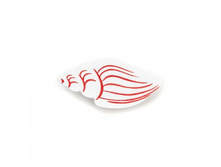 ����� Volutidae �����