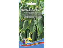 ������ ������� ������� F1 8�� �� 10,00���. [���.��000010638]