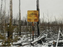 P 20171209 112029.jpg