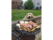 ������ ����� ������