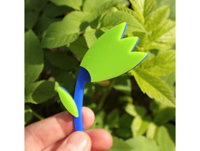 ����� ������� �������