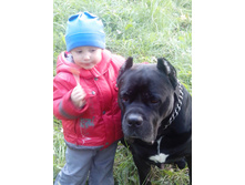 IMG 20160923 173437.jpg