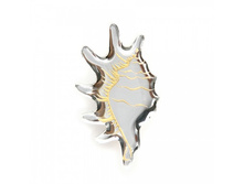 ����� Strombidae �������/������