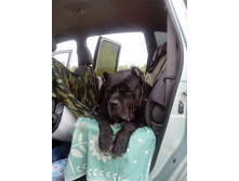 IMG 20160727 183727.jpg