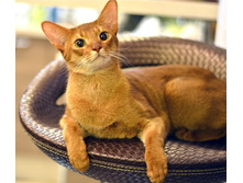 54b91234bc2bb dsc4513.jpg