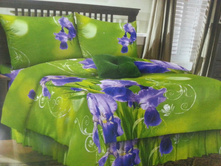 ���������� ����� �� ���� RB-036.jpg