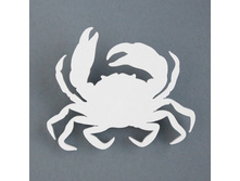 ����� ���� (�����)