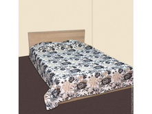 ��� ����� ���������