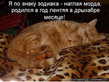 ������� ������ ����� �����