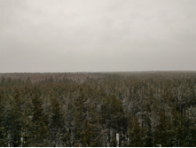 P 20171202 101207.jpg