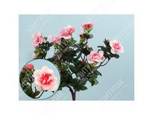 ������ 30 �� 1 �� (������-��������) 423 297�.jpg