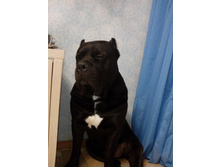 IMG 20150112 232756.jpg