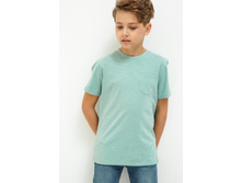 20110110088   Raccoon         -       .jpg