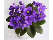 �-������� ����.jpg