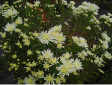 ��������� ���������� "����� ������"