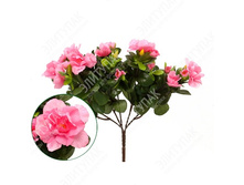 ������ 25 �� 1 �� (����-�������) 323 227�.jpg