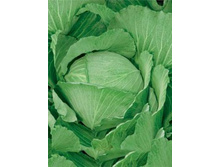 ������� �/� ������� F1 32,20