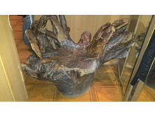 ����-��������)