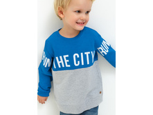 20120100119   Wolf          (      ).jpg