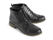 �������: 8-3991-021