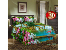 ���������� ����� �� ���� ���.RB-004.jpg