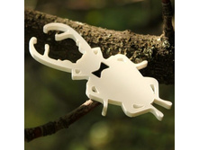 ����� ��� �����