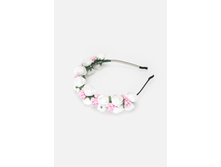 20206310067   Geranium          .jpg