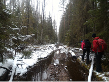 P 20171119 085501.jpg