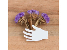 ����� ����