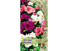 ������� ������� 5�� ����� 27,41 ���.[���.3000442]