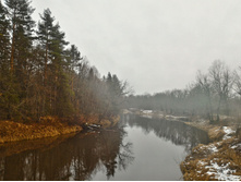 P 20171119 143611 HDR.jpg