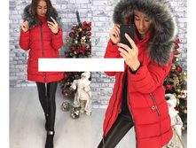2620� 48-50-52-54-56 ��������� �� ������ 1.jpg